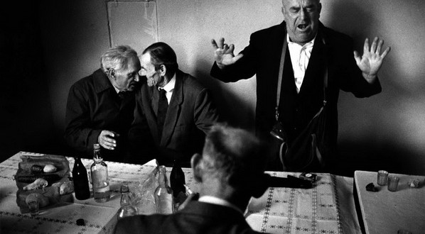 Fot. Witold Krassowski